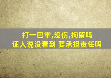 打一巴掌,没伤,拘留吗 证人说没看到 要承担责任吗